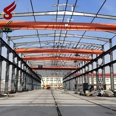 رافعة علوية